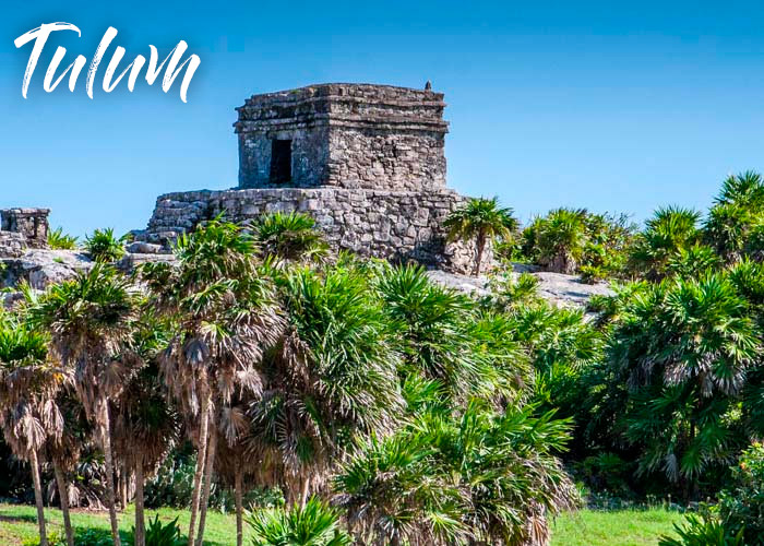 Surf and Turf, Isla Mujeres + Tulum+ Coba +Cenotes 